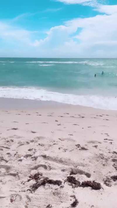 White Bikini Fit Check