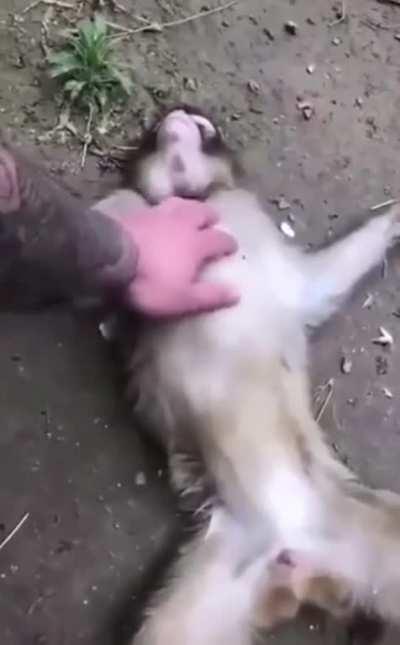 Luckily there was a trained professional in the area