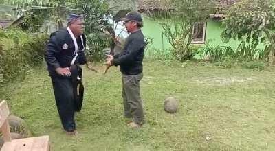 How to cure back pain