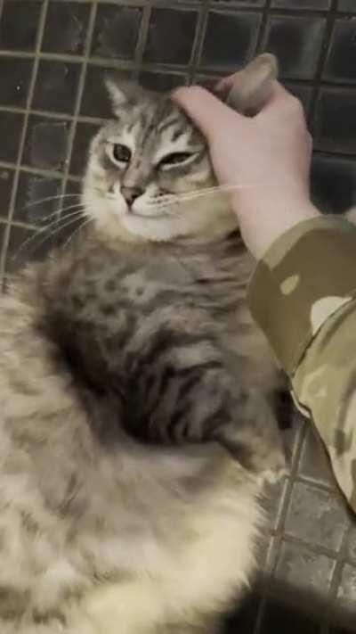 Everyday, this is our routine when I come home.