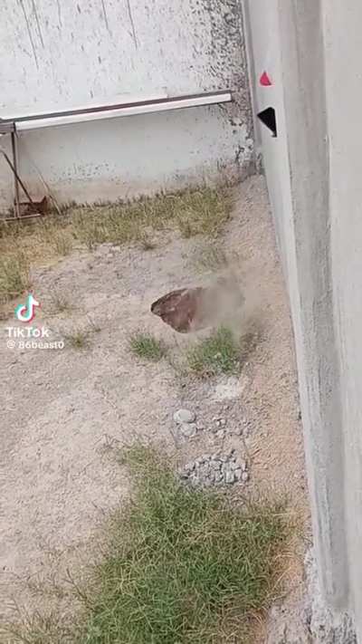 Three, Two, Juan!?!?