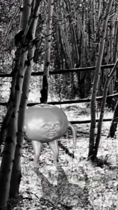 I found him out in the wild