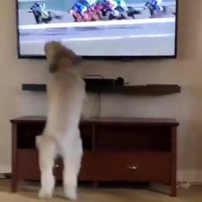 Very involved audience