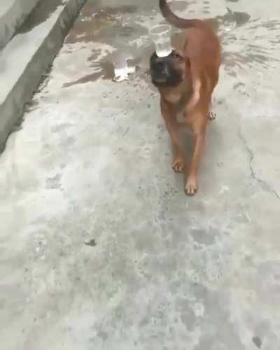 water glass on the head