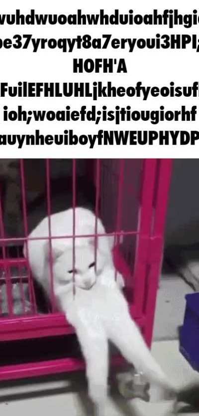 For he seeks the fur yet out of reach...