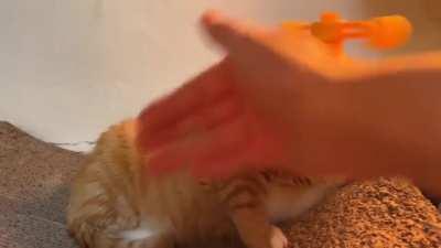 giNgER kID buLLiED mErCILesSlY, sKuLl gETs drILLeD & bRaIn geTS fuCKinG sCRamBleD!!!