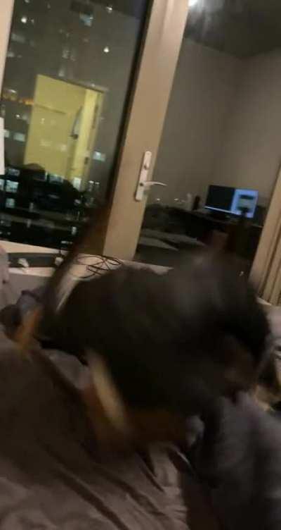 She doesn’t quite understand tails yet