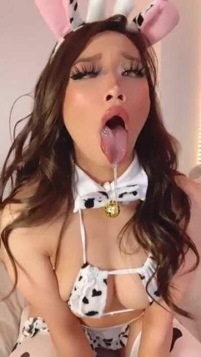 if u follow me, I promise u will always be amooosed 🐮🥵💦