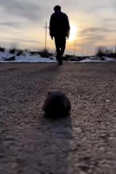 The struggle of all men