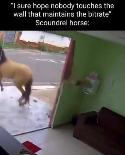 WHAT THE FUCK DID YOU DO