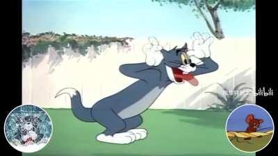 بليفر من جولي شيك