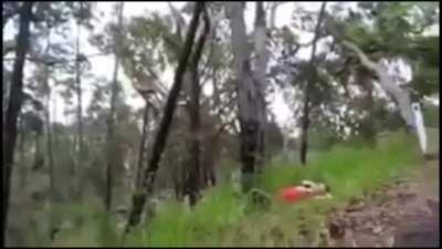 Throwing a dead branch (fixed with sound)