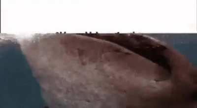 My Aquarium experience yesterday