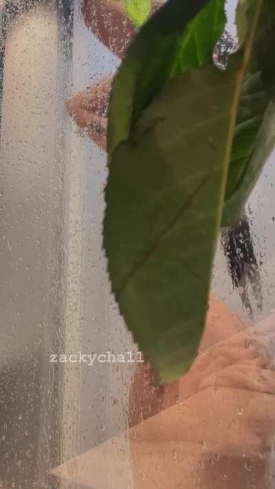 Sneak Peak From My Shower [OC]