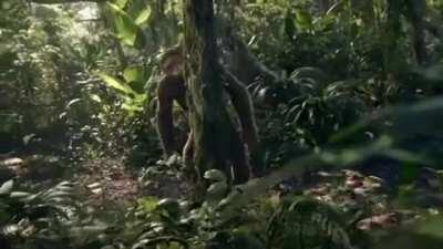 Sounds like a rhythm heaven fever song i dont know though (dont mind the video lol)