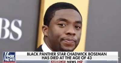 Made this lil snip lol