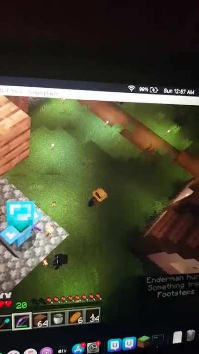 Pushing Enderman off a ledge doesn't piss him off