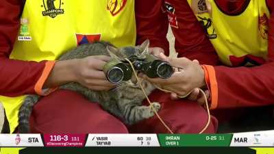 Boys shitposting in dugout 