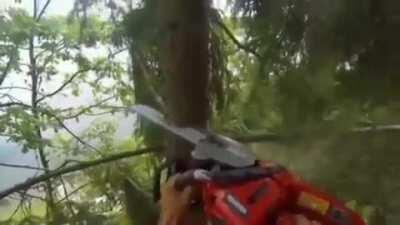 Posting SFW videos I found in NSFW Discord channels Day 110