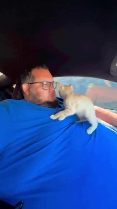 why care about a cat’s life when you haven’t cared about yours in years?