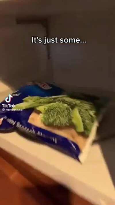 Here’s a thing to hopefully brighten your morning.