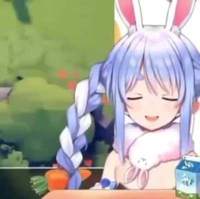 pekora wtf dont be racist