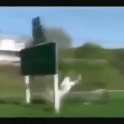 The memes of a generation