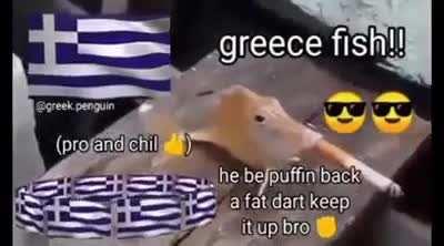 gayreece number #1💪💪💪💪💪💪💪💪🇬🇷🇬🇷🇬🇷🇬🇷🇬🇷🇬🇷🇬🇷🇬🇷