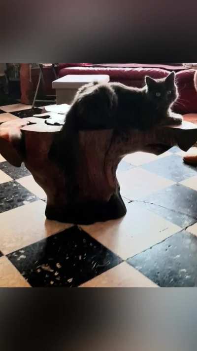 My “Neb of Love”