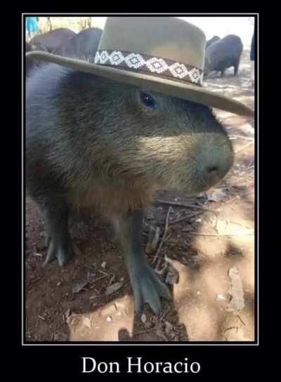 Mi pana Don Horacio