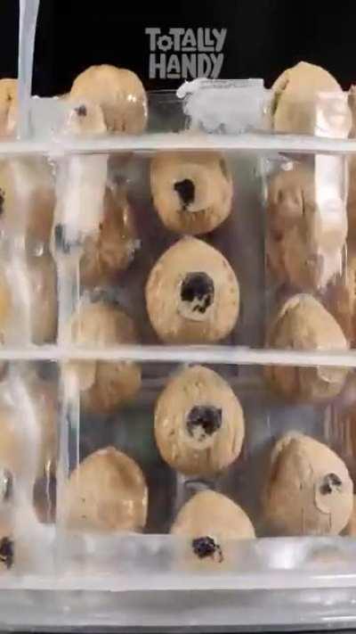 Epoxy and walnut shells lamp