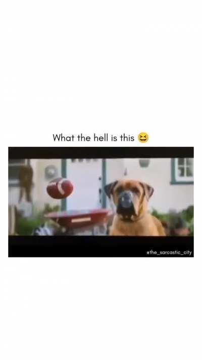 Is this a real commercial??? 