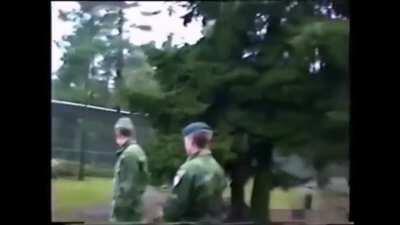 Becoming the Alpha female in the pack