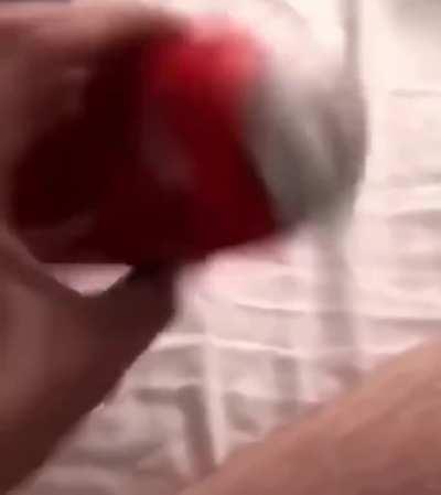 Congratulations, you win the can explosion prize!