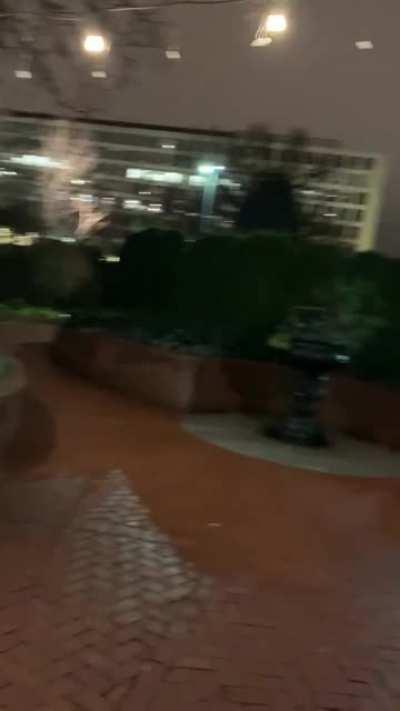 Sucked him in the botanic garden