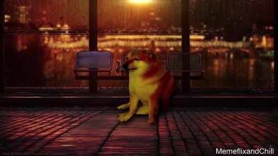 cheems meets stephen hawking