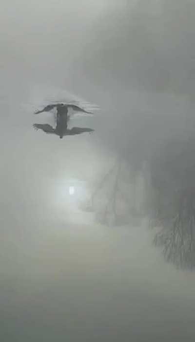 🔥 On a Lake, a Swan Appears in the Mist.