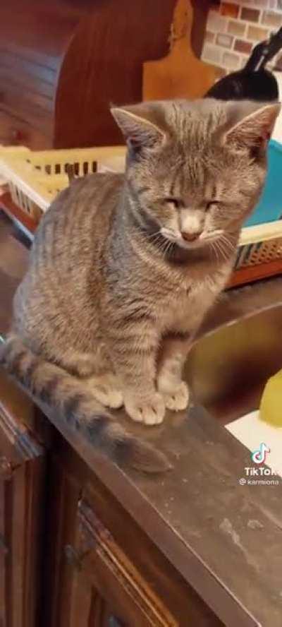 Слезы только от лука)