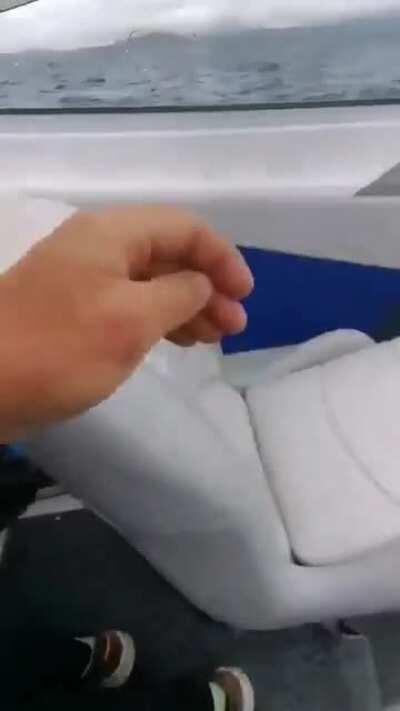 Whooaaaa! A Whale freaked the hell out of a family off the coast of Cork (source David Minihane)