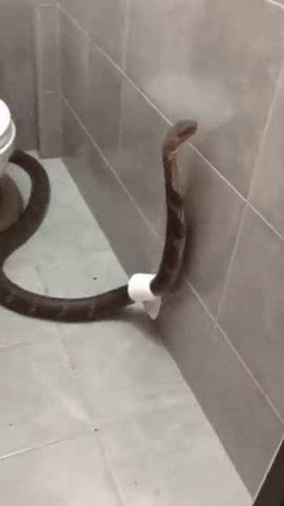 guess I'll check again later