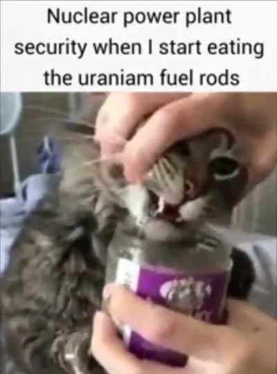 shitposting daily because I am incredibly bored (#382)