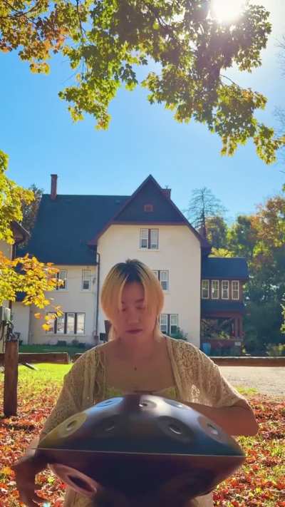 🇨🇦 Handpan | Daydreaming in Autumn 🍂