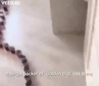 The average tea party in Russia