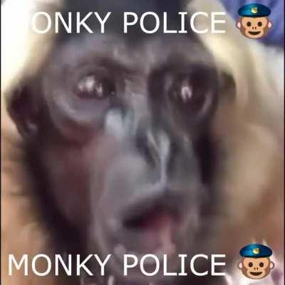 QUick hide yout banannas!!!😫🙊