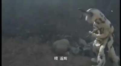 Eleking is sick of being bullied