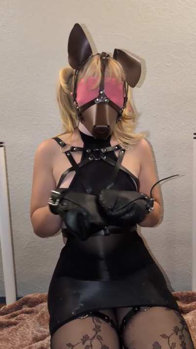 Puppygirl begging and whining