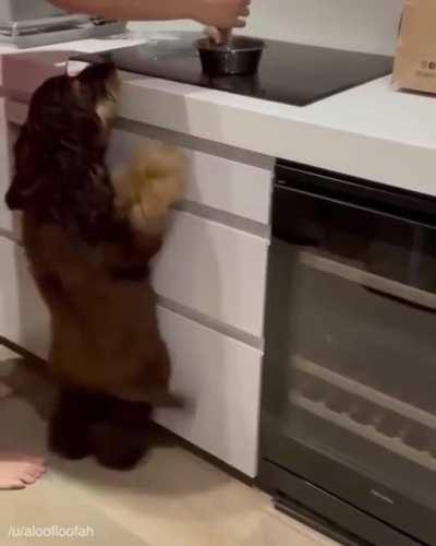 Come on, shake your body, do the conga