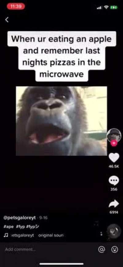 back when carti had this as his only liked tik tok before he made that private 😭