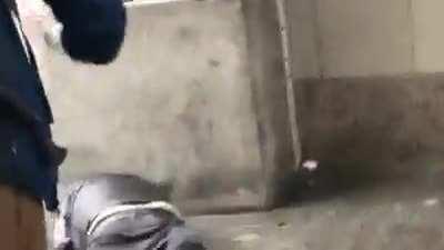 Nazi gets punched out