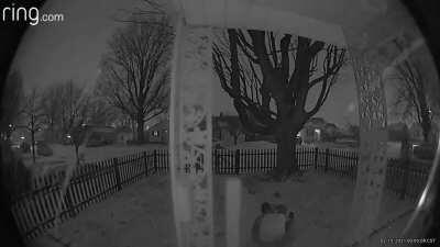 Fucking ice. Yea this is OC.